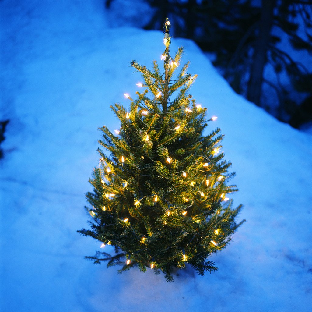 glo-girl-christmas